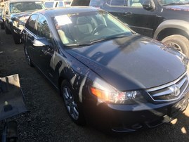 2006, ACURA TSX, GRAY, 4CYL. 2.4, AUTO, STK# A18770